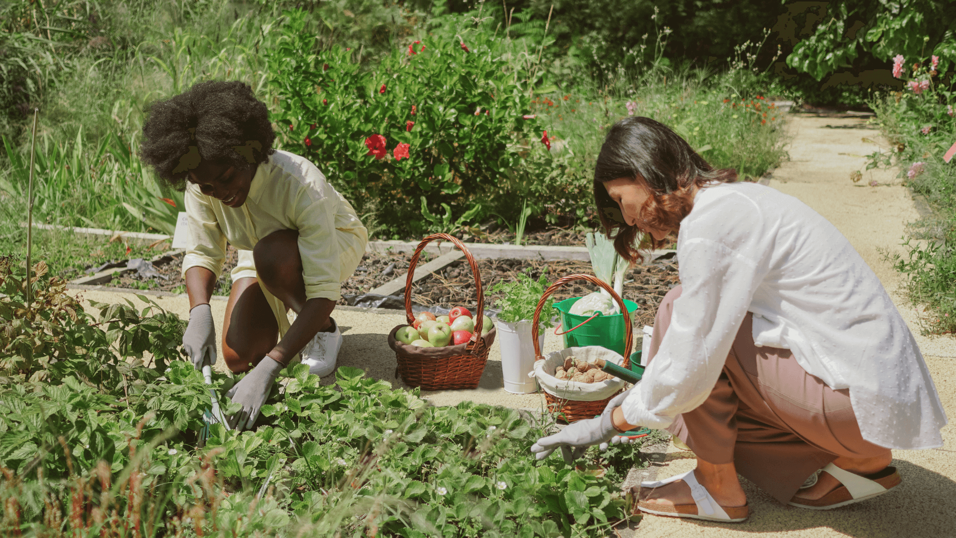 Food Security